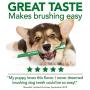 Vet’s Best Enzymatic Dog Toothpaste | Teeth Cleaning and Fresh Breath Dental Care Gel | Vet Formulated