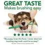 Vet’s Best Enzymatic Dog Toothpaste | Teeth Cleaning and Fresh Breath Dental Care Gel | Vet Formulated Vet’s Best Enzymatic Dog Toothpaste | Teeth Cleaning and Fresh Breath Dental Care Gel | Vet Formulated