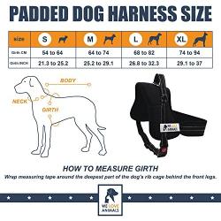 Padded Dog Harness Set: No More Struggling! Easy & Full Control With a Durable No-Pull Harness, Comfortable for Your Pet, Small to X-Large. Reflective & Washable. Includes a Leash and a Car Seat-Belt