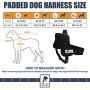 Padded Dog Harness Set: No More Struggling! Easy & Full Control With a Durable No-Pull Harness, Comfortable for Your Pet, Small to X-Large. Reflective & Washable. Includes a Leash and a Car Seat-Belt