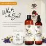 Aromatherapy Pet Spa in a Box Dog Shampoo, Dog Grooming Spray, Candle Scented Animal Lover Gift Set & Pet Odor Eliminator Aromatherapy Pet Spa in a Box Dog Shampoo, Dog Grooming Spray, Candle Scented Animal Lover Gift Set & Pet Odor Eliminator