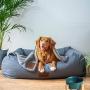 QFULL Ceramic Round Dog Cat Bowl - Durable Ceramic Food Water Elevated Dish for Pet,with Wood Stand,28 Ounces