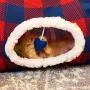 Kitty City Large Cat Tunnel Bed, Cat Bed, Pop Up bed, Cat Toys Kitty City Large Cat Tunnel Bed, Cat Bed, Pop Up bed, Cat Toys
