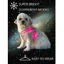 LED Light Dog Harness for Night Walking - USB Rechargeable, Super Bright, Removable and Easy to Wear for Small/Medium/Large Dogs (Pink, Small (Chest: 12.5”-15.7”))