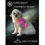LED Light Dog Harness for Night Walking - USB Rechargeable, Super Bright, Removable and Easy to Wear for Small/Medium/Large Dogs (Pink, Small (Chest: 12.5”-15.7”)) LED Light Dog Harness for Night Walking - USB Rechargeable, Super Bright, Removable and Easy to Wear for Small/Medium/Large Dogs (Pink, Small (Chest: 12.5”-15.7”))