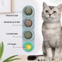 Nuanchu 2 Pieces Catnip Wall Ball Toys Rotatable Snack Edible Balls Cat 4-1 Removable Licking Catnip Balls Chewing Cleaning Teeth Toy for Cats Kitten Kitty