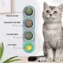 Nuanchu 2 Pieces Catnip Wall Ball Toys Rotatable Snack Edible Balls Cat 4-1 Removable Licking Catnip Balls Chewing Cleaning Teeth Toy for Cats Kitten Kitty Nuanchu 2 Pieces Catnip Wall Ball Toys Rotatable Snack Edible Balls Cat 4-1 Removable Licking Catnip Balls Chewing Cleaning Teeth Toy for Cats Kitten Kitty