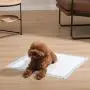 BIGA Pet Training Mat Non-Slip Leak Free Pee Pads with Regular Absorbency for Dogs Puppy Potty 80 Counts Total 23.6''x23.6'' BIGA Pet Training Mat Non-Slip Leak Free Pee Pads with Regular Absorbency for Dogs Puppy Potty 80 Counts Total 23.6''x23.6''