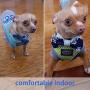 ThinkPet Reflective Breathable Soft Air Mesh No Pull Puppy Choke Free Over Head Vest Ventilation Harness for Puppy Small Medium Dogs and Cats