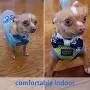 ThinkPet Reflective Breathable Soft Air Mesh No Pull Puppy Choke Free Over Head Vest Ventilation Harness for Puppy Small Medium Dogs and Cats ThinkPet Reflective Breathable Soft Air Mesh No Pull Puppy Choke Free Over Head Vest Ventilation Harness for Puppy Small Medium Dogs and Cats