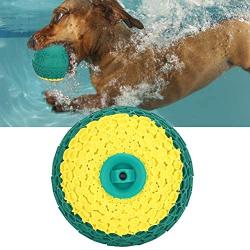 Resistant to pet Toys Balls for Dog Toys, Dog Rubber Balls, Water Spray Balls, Durable and Small Large Dogs Summer Training Balls