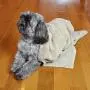 Bone Dry Embroidered Pet Towel