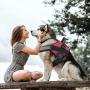 MUMUPET Service Dog Harness, No Pull Easy On and Off Pet Vest Harness, 3M Reflective Breathable & Easy Adjust Pet Halters with Nylon Handle - No More Tugging or Choking for Small Medium Large Dogs