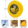 Pet Frisbee Flying Disc Dog Toy - Multifunction I Feel My Saviors Love Greg Olsen