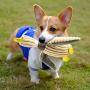 Stuffless Dog Toys,Squeaky Toy for Chewers,Duck Shaped Bite Resistant Training Pet Toy,Chewing Teeth Health Toys for Large and Small Dogs (Duck-Without Hemp Rope Type)