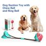 PetsBark Suction Cup Dog Chew Toy for Aggressive Chewers, Dogs Teeth Cleaning Rope Toys