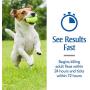 PetArmor Plus Flea & Tick Protection Oatmeal Shampoo for Dogs, 18oz