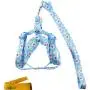 Wiz BBQT Adjustable Breakaway Flower Printed Dog Cat Pet Harness and Leash Set for Dogs Cats Pets