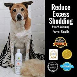 Pure and Natural Pet - Shed Control Shampoo Sweet Orange and Coconut 16 oz,PN223