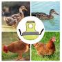 Uwariloy Pet Reflective Vest, Chicken Clothes Chicken Saddle Poultry Hen Saddle Apron Feather Protection Holder High-Vis Jacket for Chicken and Duck