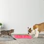 PETMAKER Stainless Steel Pet Bowls Set for Dogs and Cats