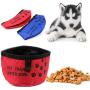 LEPENN Pet Supply Affordable Dog Pet Training Bait Bag Water Resistant Pouch for Treats or Toys (Blue)
