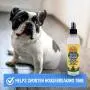 Bodhi Dog Potty Training Spray | Indoor Outdoor Potty Here Training Aid for Dogs & Puppies | Puppy Potty Training for Potty Pads | Made in USA | 8oz