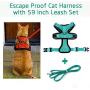 Wisdoman Cat Harness and Leash for Walking, Escape Proof Soft Mesh Adjustable Vest Harnesses for Cats Kitten Dog, Easy Control Breathable Reflective Strips Vest for Small Medium Cats