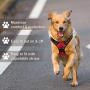 MyDog No Pull Dog Vest Harness with 4 Snap Buckles [No Need to Go Over Dog’s Head] Reflective Easy Control Handle and 2 Front & Back Metal Leash Rings Dog Harness for Outdoor Dogs