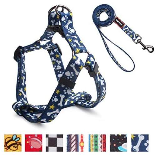 QQPETS Dog Harness Leash Set,Adjustable Vest Durable Heavy Duty Puppy Small Medium Large Dogs Perfect for Walking Running Training Bone Pattern