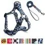 QQPETS Dog Harness Leash Set,Adjustable Vest Durable Heavy Duty Puppy Small Medium Large Dogs Perfect for Walking Running Training Bone Pattern