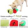 ZARYIEEO Dog Squeaky Chew Toy, 2-in-1 Pear with Cherry Ball Interactive Squeaker Toy for Chewers, Durable Stuffed Plush Fruit Shaped Squeak Ball for Small Medium Large Dogs, IQ Snuffling Toy for Pet