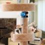 Our Pets 1400013659 Twirl & Whirl Electronic Spin Toy