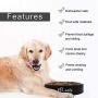 Freefa Slow Feeder Dog Bowl Bloat Stop Dog Food Bowl Maze Interactive Puzzle Non Skid, Come with Free Travel Bowl (Black1, for Large Dogs)