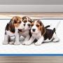 OUT! MonsterPads | 7 Layer Quilted Dog Pad Absorbing Over 8 Cups of Liquid | 60 Pads 36 x 36 (1030738)