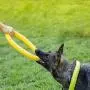 Large Dog Toys Ring Water Floating, Outdoor Fitness Flying Discs, Tug of War Interactive Training Ring for Medium and Big Dogs, 12 inch Large Dog Toys Ring Water Floating, Outdoor Fitness Flying Discs, Tug of War Interactive Training Ring for Medium and Big Dogs, 12 inch