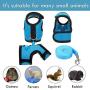 SATINIOR 2 Pieces Guinea Pig Harness and Leash Ferret Rats Hamster Soft Mesh Harness Leash Vest Set with Bell for Small Pet Rabbit Iguana Squirrel Chinchilla