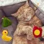 Sumind 12 Pieces Catnip Toys for Cat Interactive Cat Catnip Toys Cat Catnip Chew Toy Plush Cartoon Cute Shape Catnip Toys for Pet Kitten Cat Playing Chewing Grinding Claw and Teeth Cleaning Sumind 12 Pieces Catnip Toys for Cat Interactive Cat Catnip Toys Cat Catnip Chew Toy Plush Cartoon Cute Shape Catnip Toys for Pet Kitten Cat Playing Chewing Grinding Claw and Teeth Cleaning