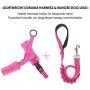 Lukovee Walking Dog Harness and Leash, Heavy Duty Adjustable Puppy Harness Soft Padded Reflective Vest Harness Anti-Twist 4FT Pet Lead Quick Fit Lightweight for Small Dog Cat