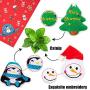 AWOOF Cat Christmas Toys, Christmas Stocking Cat Toy Gift Set 12Pcs Cat Toys Set for Kitten with Pet Cat Christmas Bandana