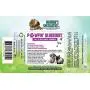 Natures Specialties Puppy Friendly Dog Shampoo for Pets, Concentrate 16:1, Made in USA, Pawpin Blueberry, 32oz