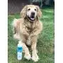 Mighty Mutt Natural & Hypoallergenic Dog Shampoo and Conditioner, Anti-itch, Soothing and Deodorizing (9oz) Mighty Mutt Natural & Hypoallergenic Dog Shampoo and Conditioner, Anti-itch, Soothing and Deodorizing (9oz)