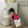 BWOGUE Premium Dog Diapers Female (Pack of 2) with Velcro Washable Reusable Sanitary Panties for Small to Large Dogs