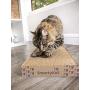 SmartyKat, Super Scratcher, Cat Scratcher, Corrugated Cardboard Scratch Pads, Catnip Infused, Long Lasting, Reversible, Double Wide