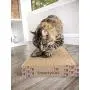 SmartyKat, Super Scratcher, Cat Scratcher, Corrugated Cardboard Scratch Pads, Catnip Infused, Long Lasting, Reversible, Double Wide SmartyKat, Super Scratcher, Cat Scratcher, Corrugated Cardboard Scratch Pads, Catnip Infused, Long Lasting, Reversible, Double Wide