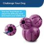 PetSafe Busy Buddy Barnacle Treat Dispensing Dog Toy