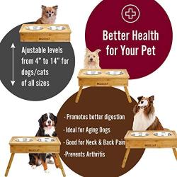 Morvat Raised Dog Bowl Feeding Station for Large Dogs -Double Dog Dishes Elevated for Large Dogs & Cat Pet Feeder, Adjustable Bamboo Dog Dishes for Large Dogs - 3 Heights & 4 Stainless Steel Dog Bowls