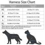 Cat Harness and Leash for Walking, Adjustable Escape Proof Vest with Reflective Strips, Travel Outdoor Jacket Fit for Kitten Puppy Rabbit Dogs by Pet Supplies in Mesh Ferretss Travel Car Seat Belt