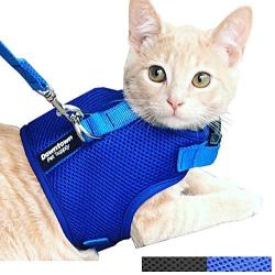 Downtown Pet Supply Cat Vest Harness and Leash Combo with Added Safety Features to Make it Escape Proof for Small, Medium, Large Cats and Small Dogs/Puppy (Available in Blue and Black)