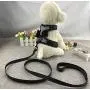 Newtensina 2pcs Bow Ties Bling Cute Dog Harness with Lead for Dog